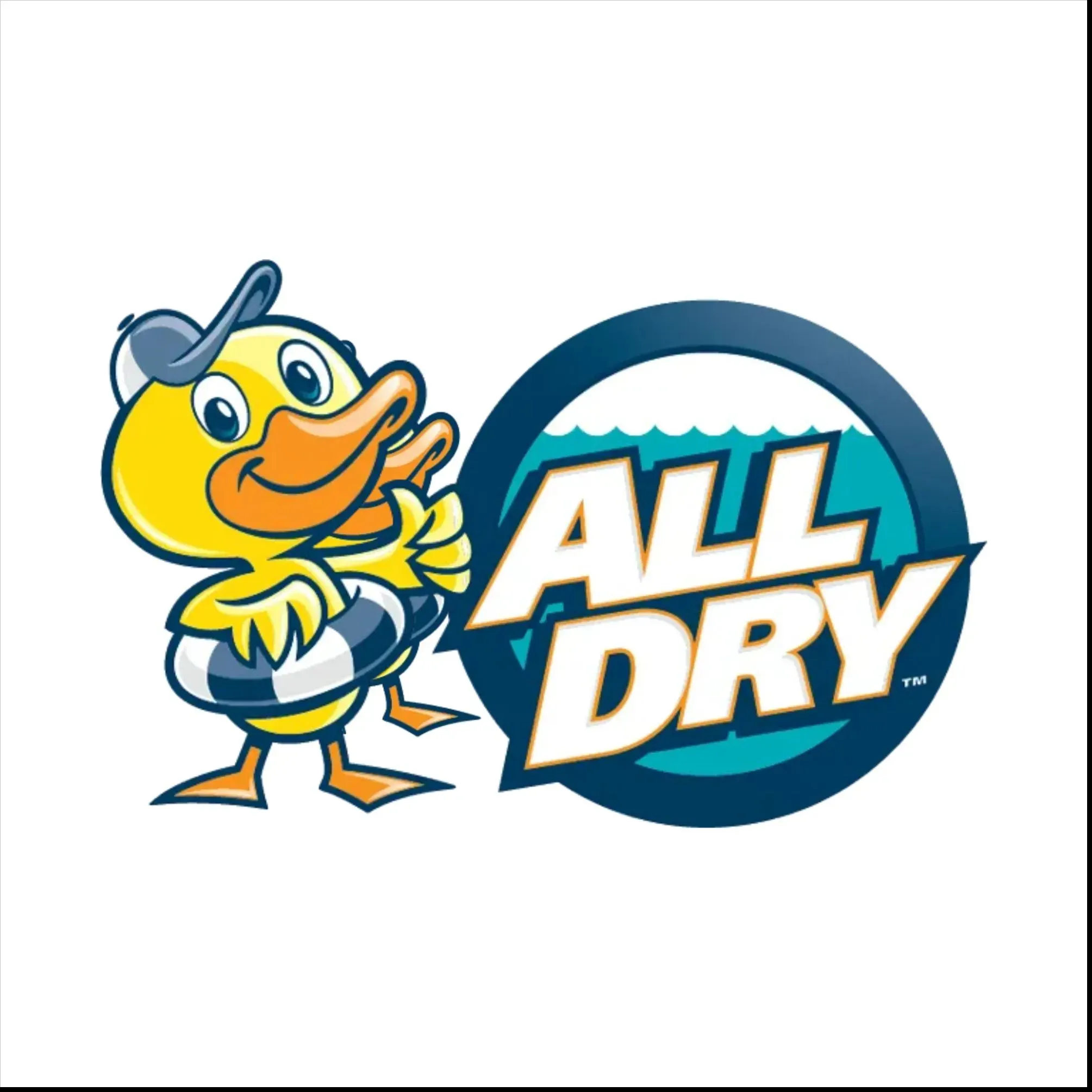 All Dry Services